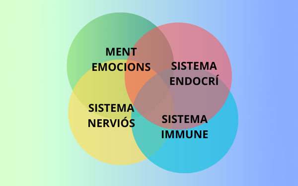 Psico Neuro Inmuno Endocrinología